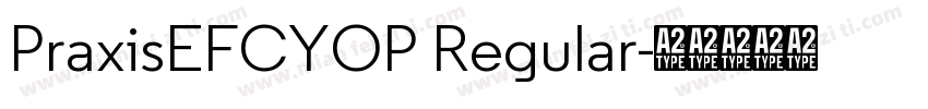 PraxisEFCYOP Regular字体转换